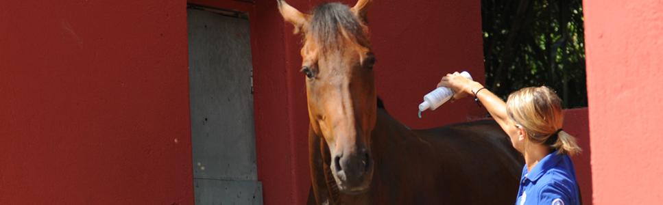 Mehr zu diesem Thema